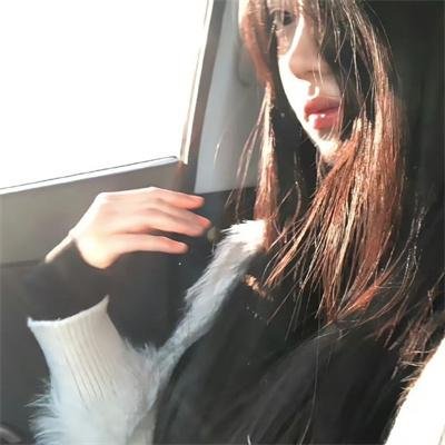 公主复仇者